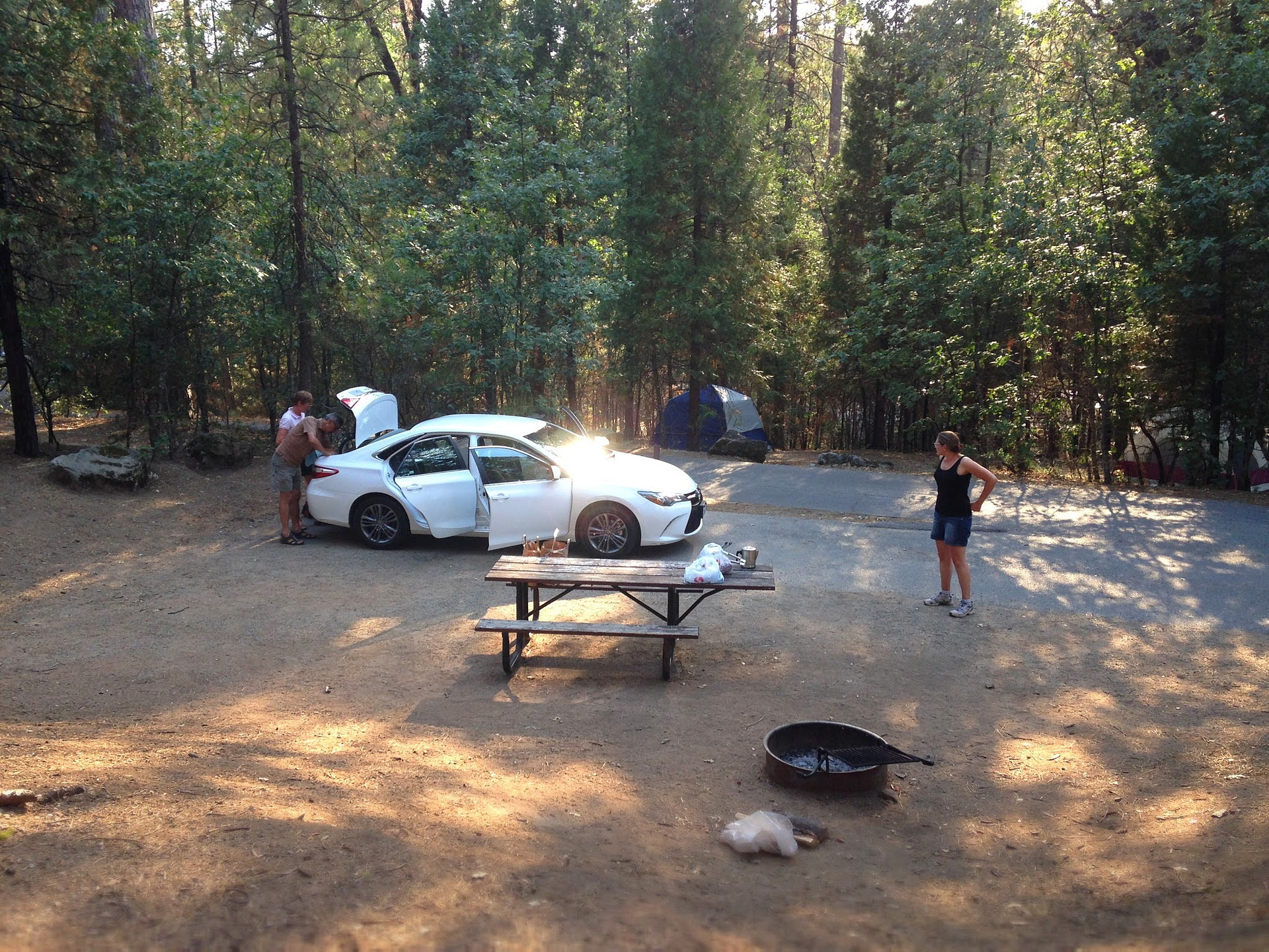 Sierra National Forest