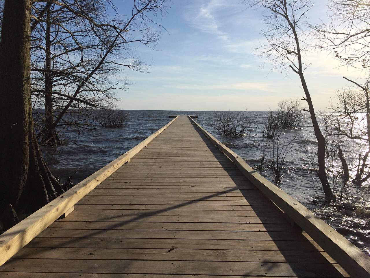 Lake Phelps  boardwalk from campsite