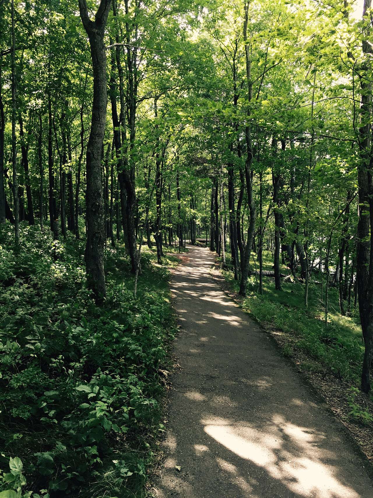 Beautiful trails