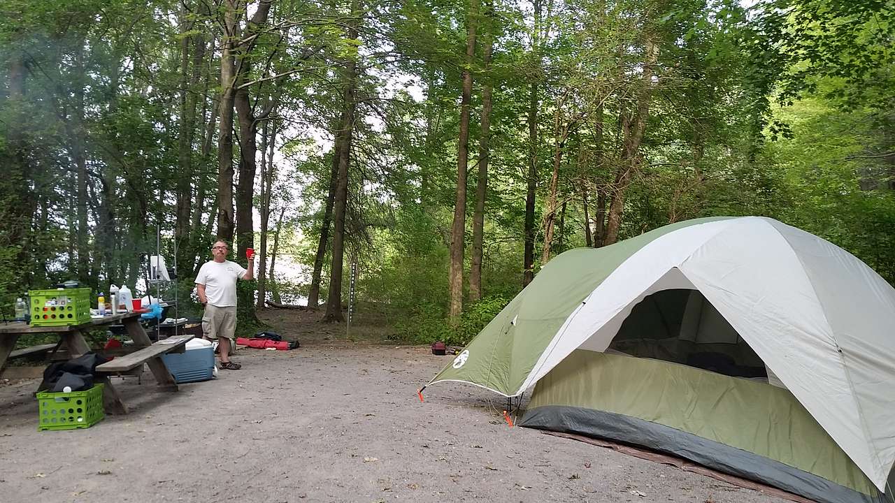 Lakeside spot with shade