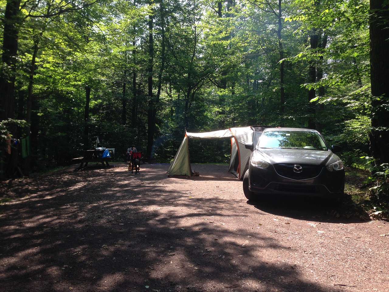 Camp - Nestled against the woods with plenty of space in between sites.