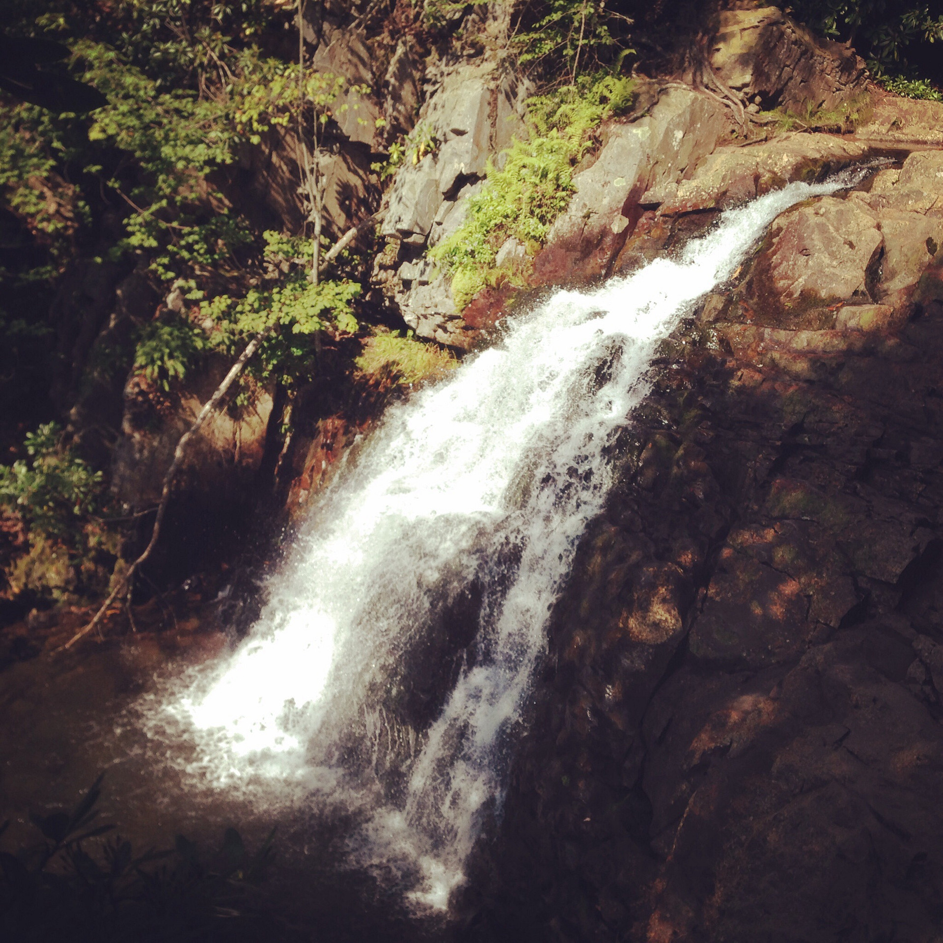 Hawk Falls