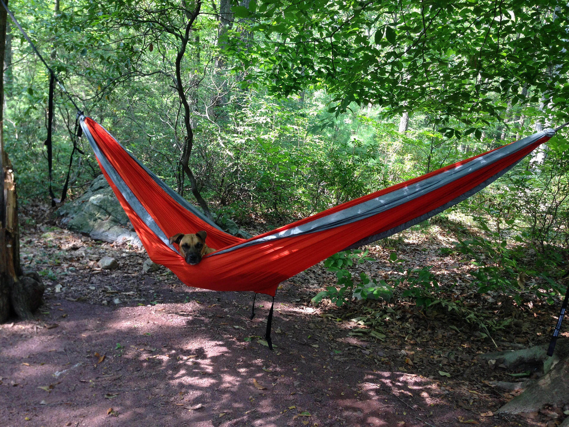 Brix knows how to camp
