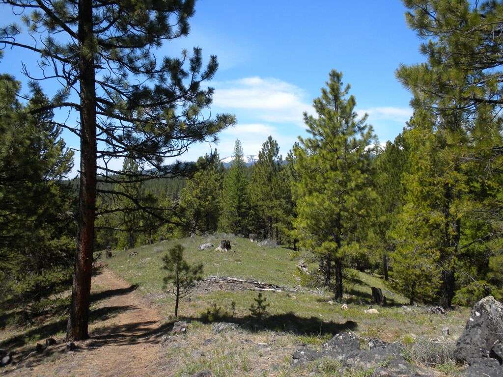 Main Campground