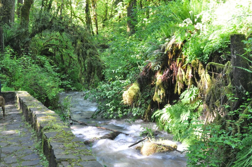 Cascadia State Park