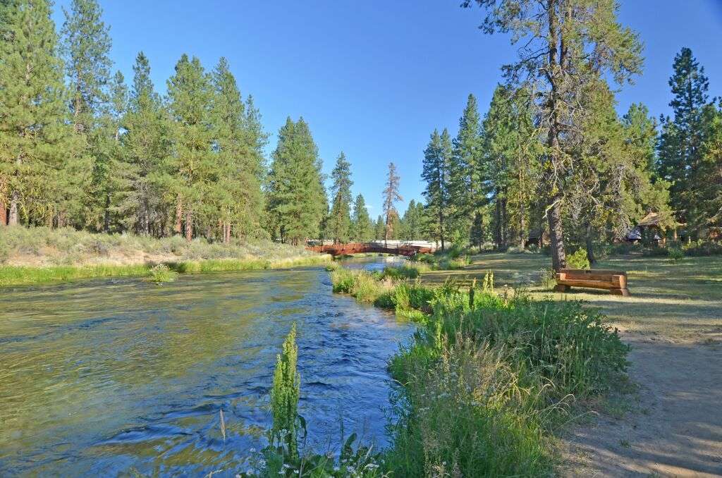 Collier Memorial State Park Campground