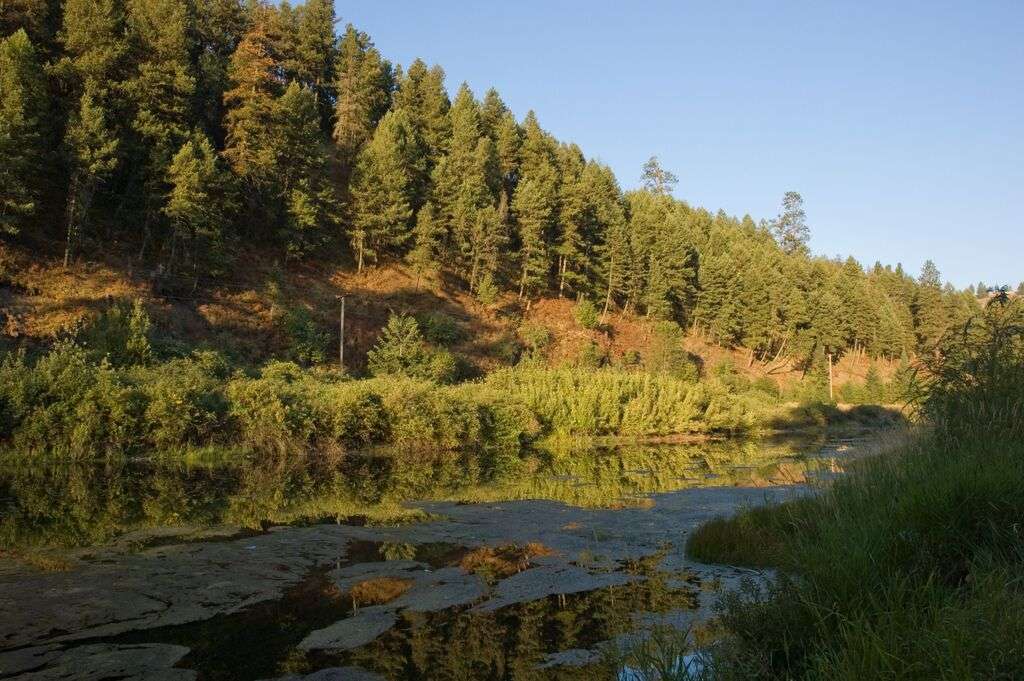 Hilgard Junction Campground