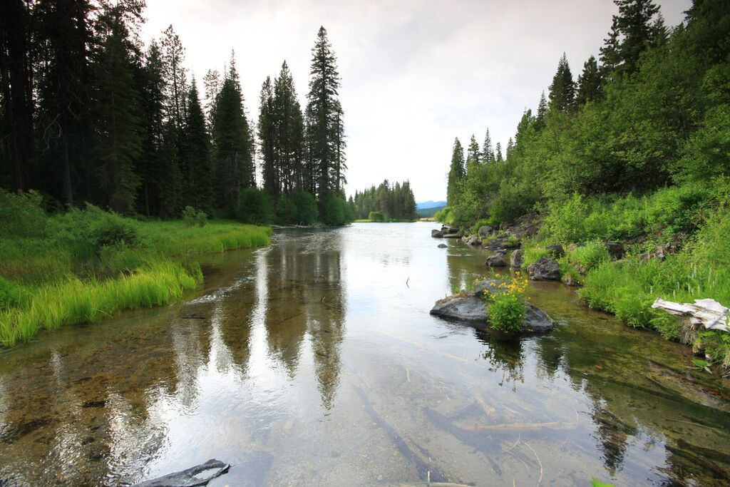 Jackson F. Kimball Campground