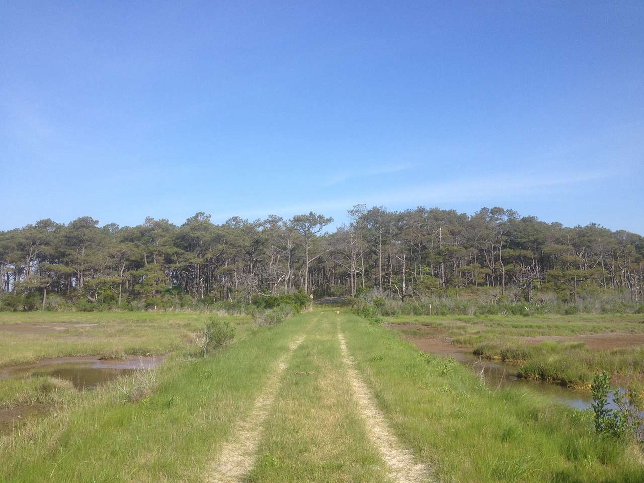 Assateague Island Backcountry Camping