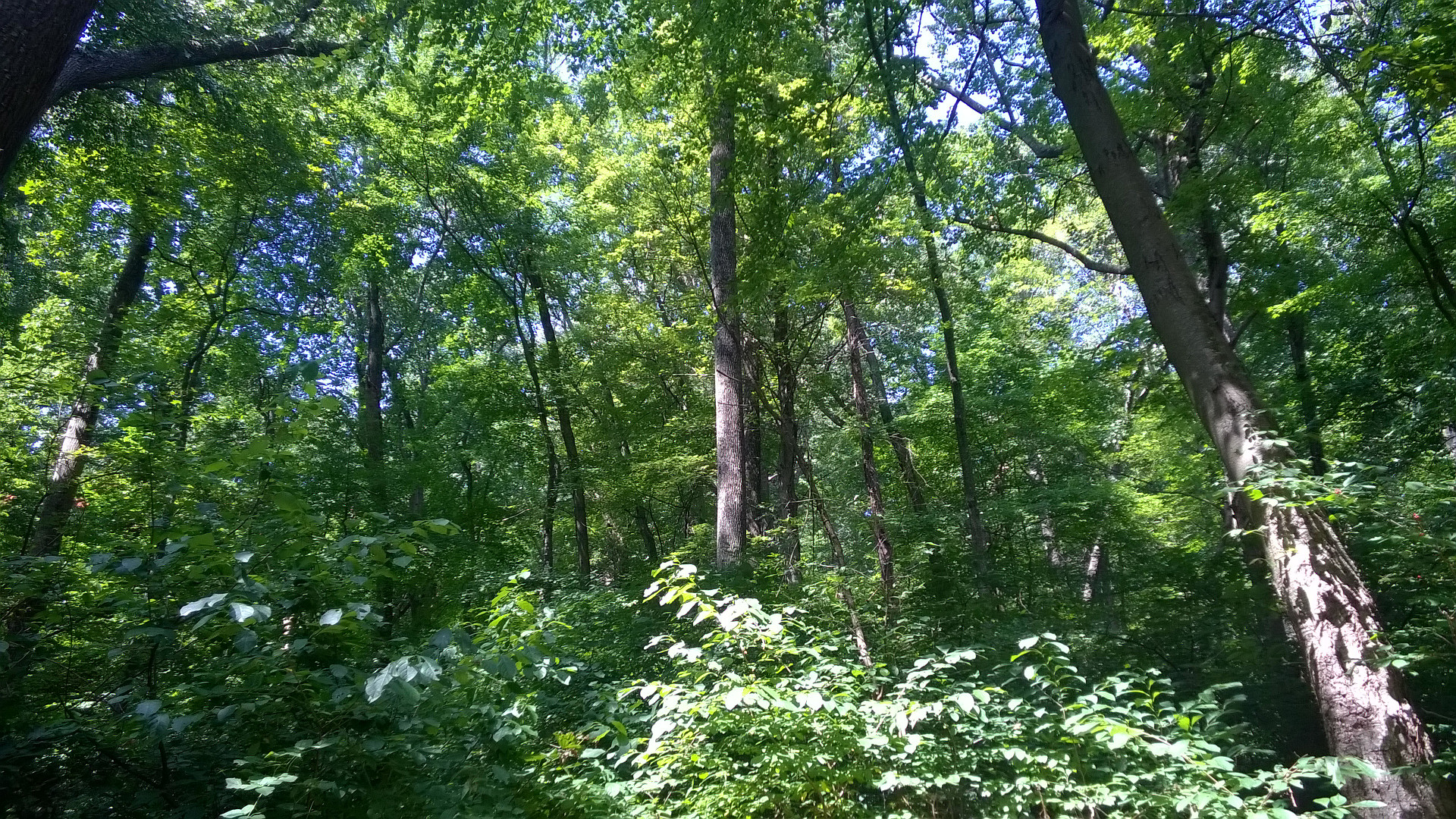 September, 2015  Site 50