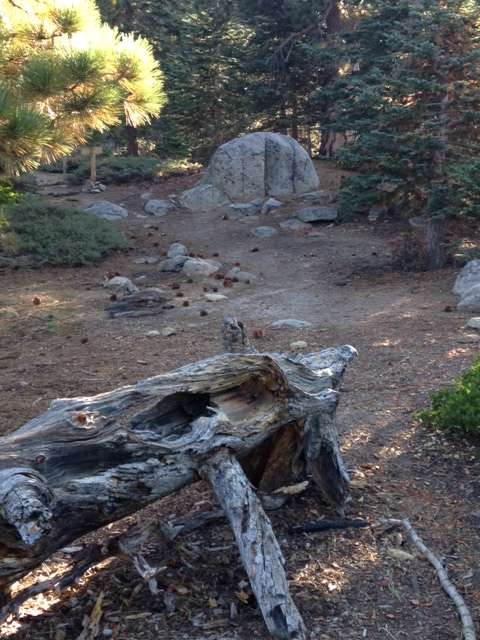Spacious Campsite