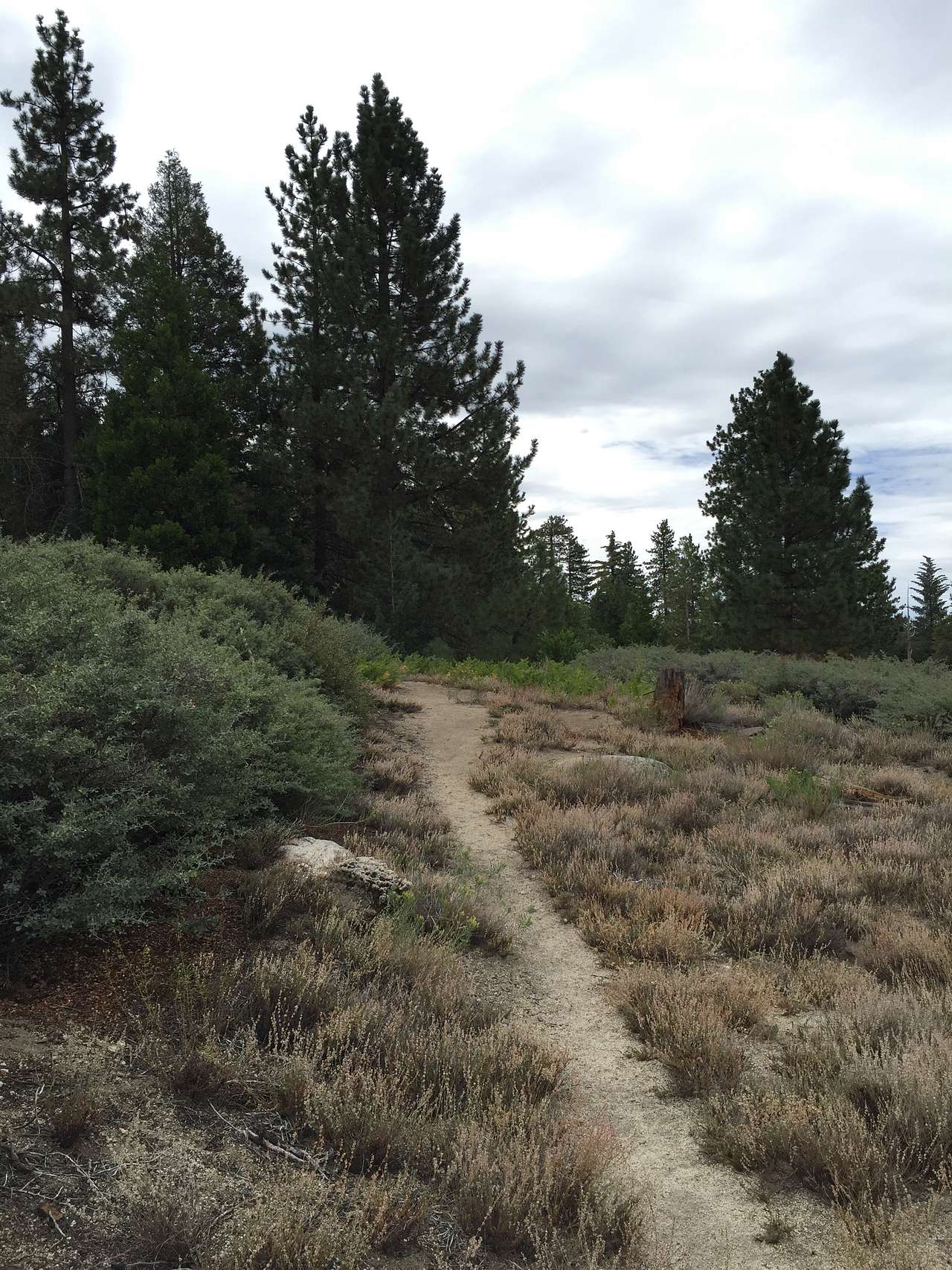 Fern Basin Campground