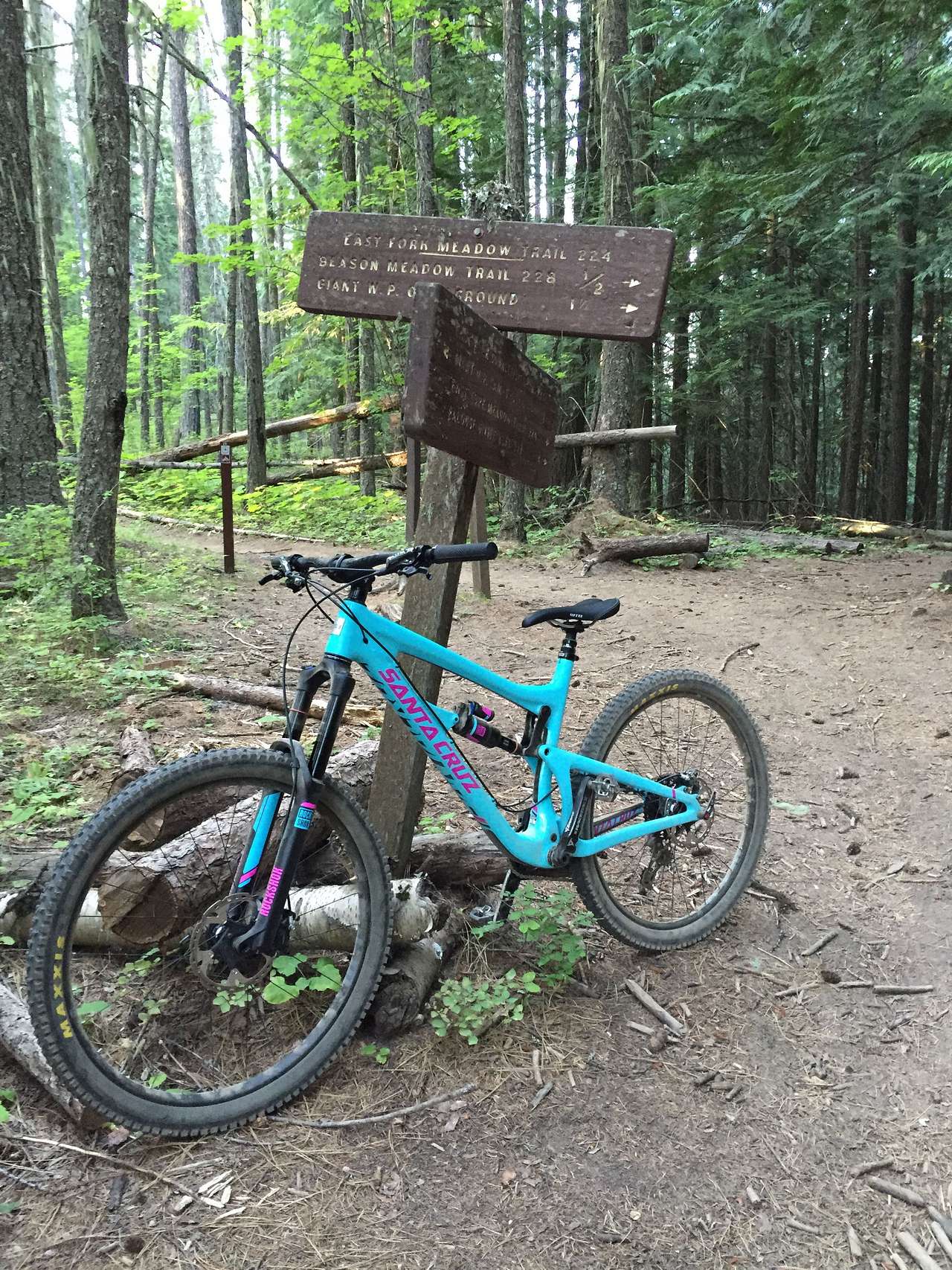 A the Three Tree Butte intersection, about 1-mile from camp. 