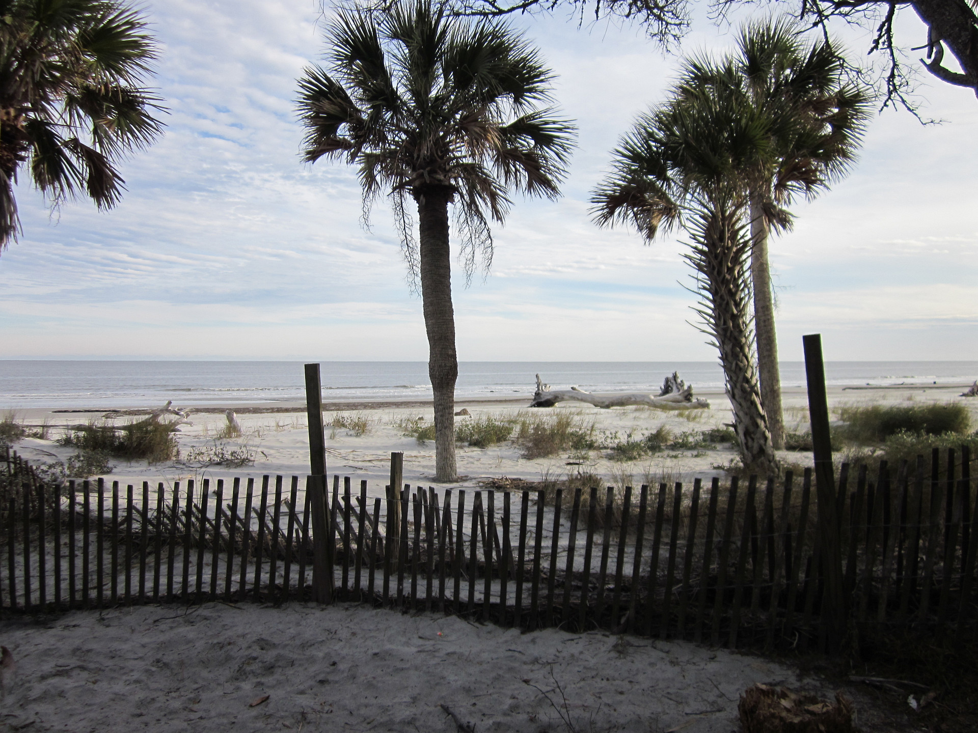 Front Beach in January. We love taking our pop-up there in the winter. Weather is fine and there are less people.