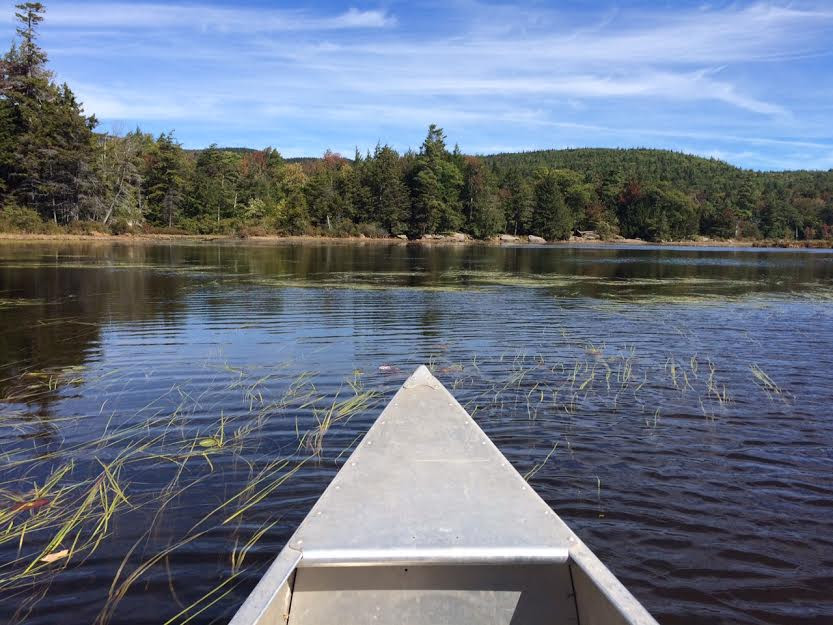 North/South Lake Campground