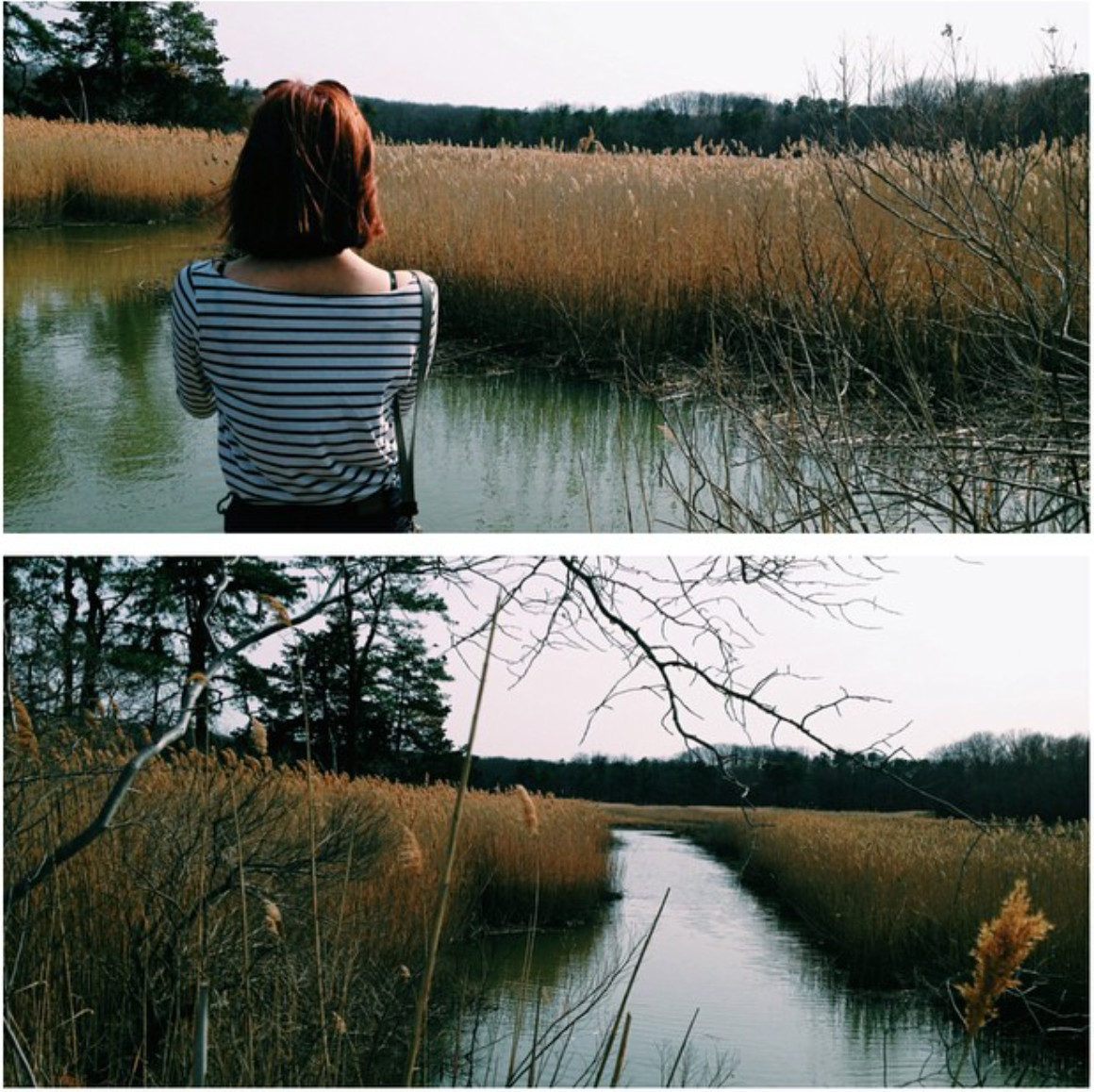 Cheesequake State Park