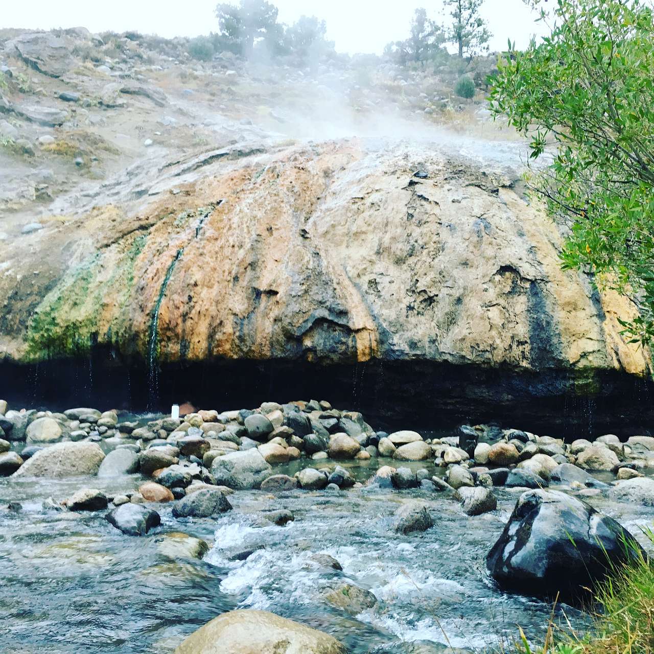 Buckeye Campground