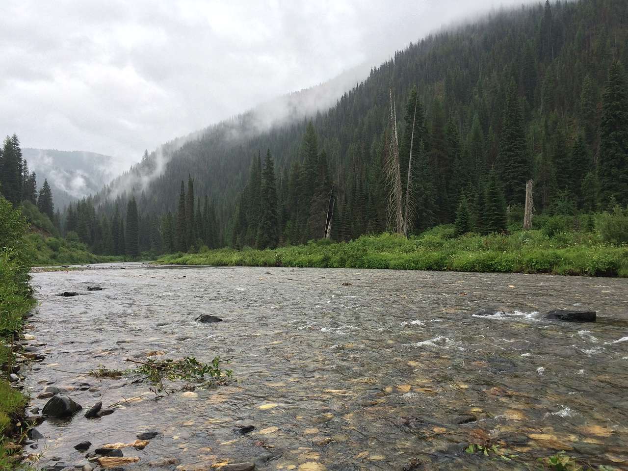 A much needy rainy day on the St. Joe River this summer near Fly Flat Campground after several weeks of devastating fires in the region.  