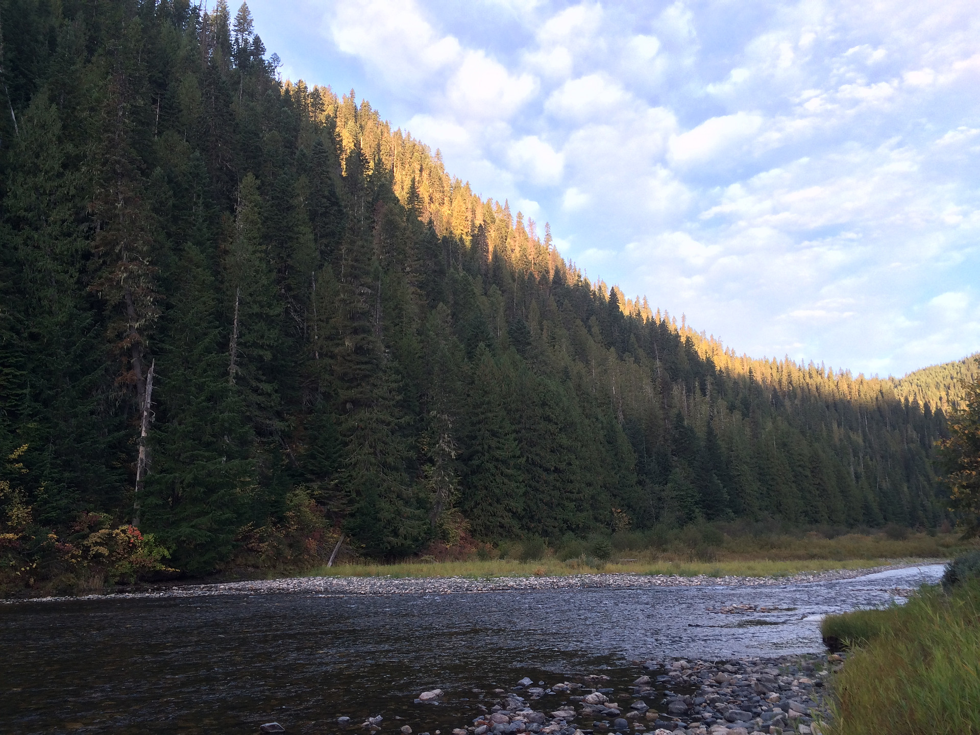 A beautiful spot to camp along the St. Joe River - Turner Flat Campground is just upstream from Avery.