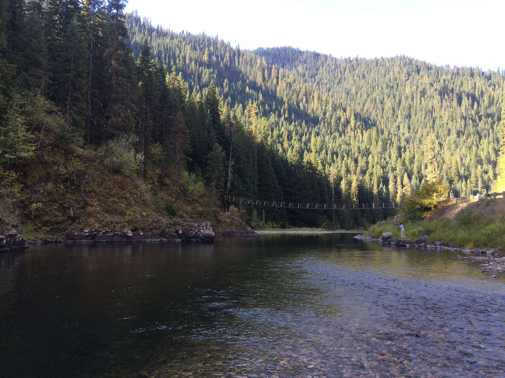 Turner Flat Campground sits on a wide, flat section of the St. Joe River.