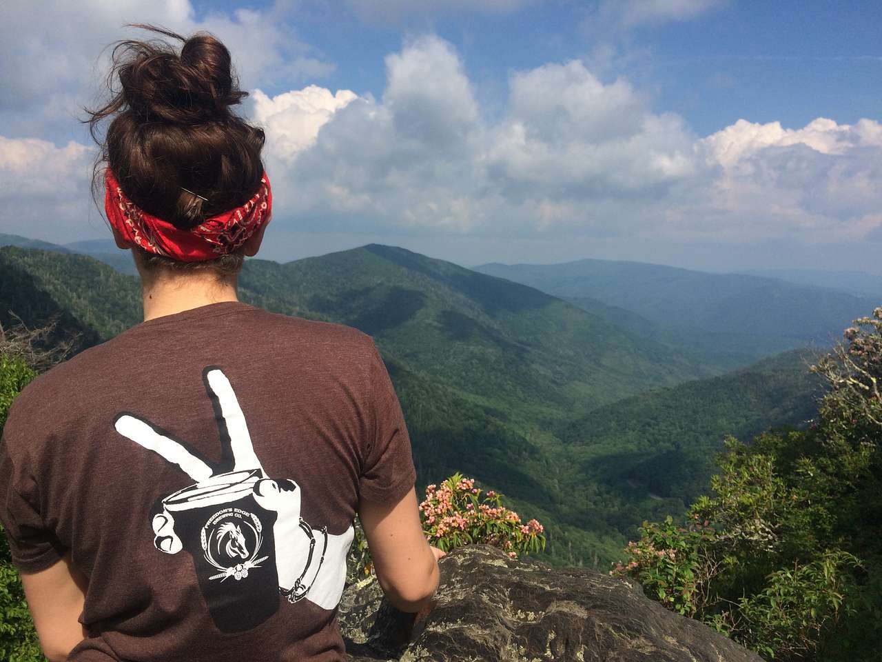 From the top of Chimney Tops, a nearby hike in the park! 