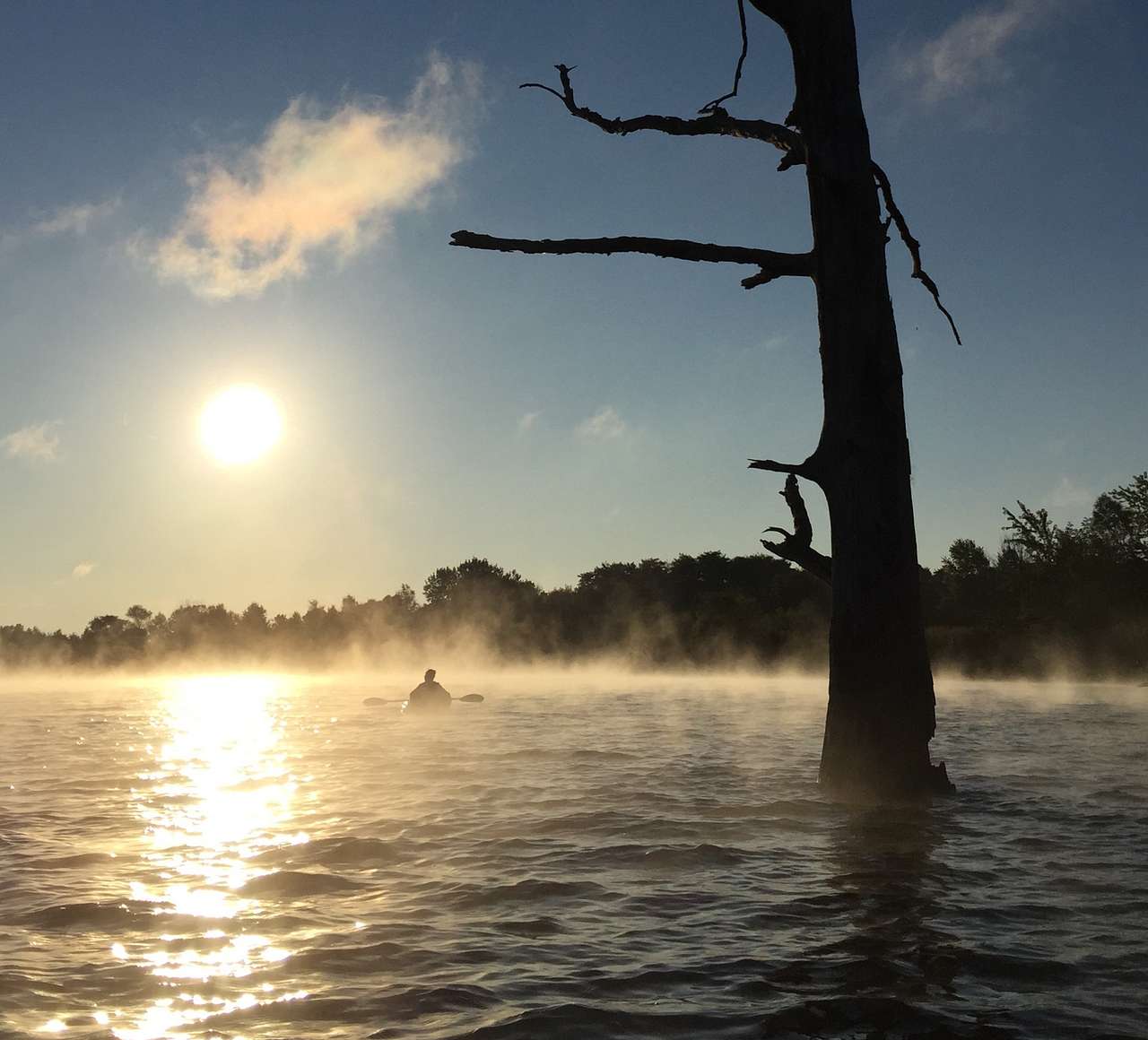 My friends and I hang out around the "naked tree" in the mornings to get the best photo ops. 
