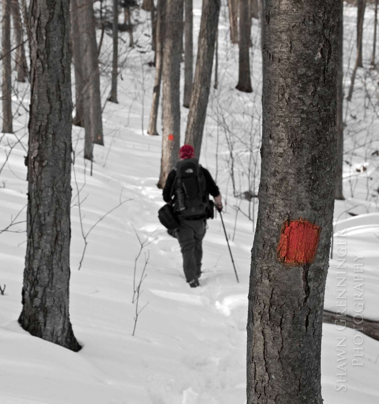 West Rim Trail near Colton Point State Park