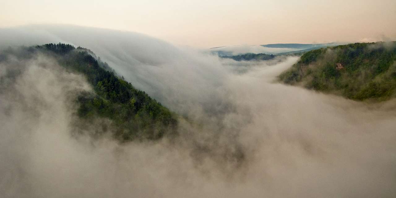 Rolling Fog from Barbour Rock.