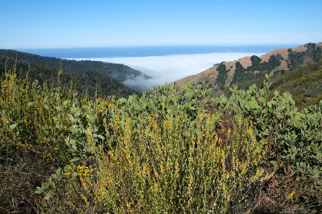 Pretty cool when you wake up and you are above the clouds...