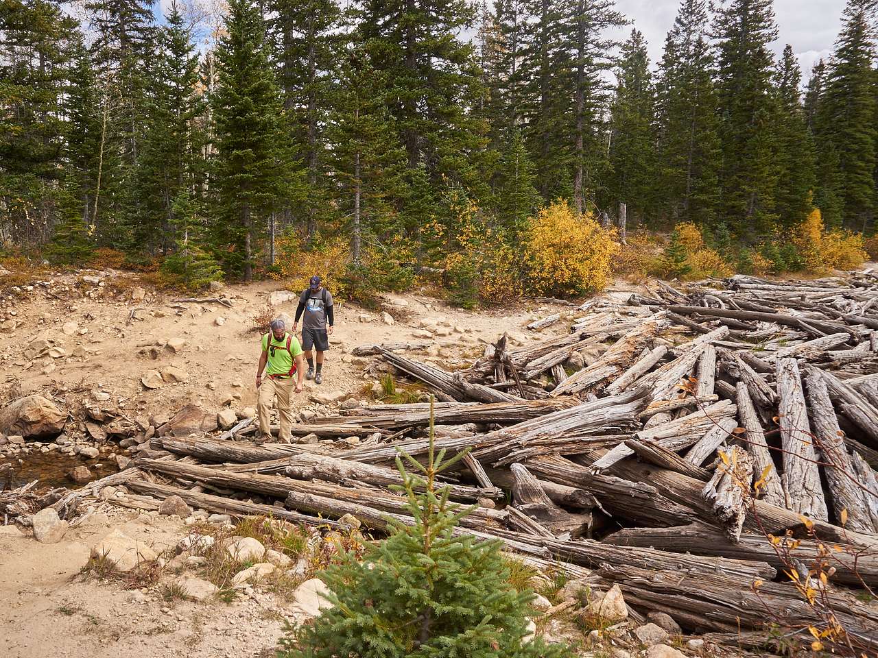 Alpine lakes, babbling creeks, cascading waterfalls, and natural log bridges all can be found on the nearby Three Lakes Loop. 