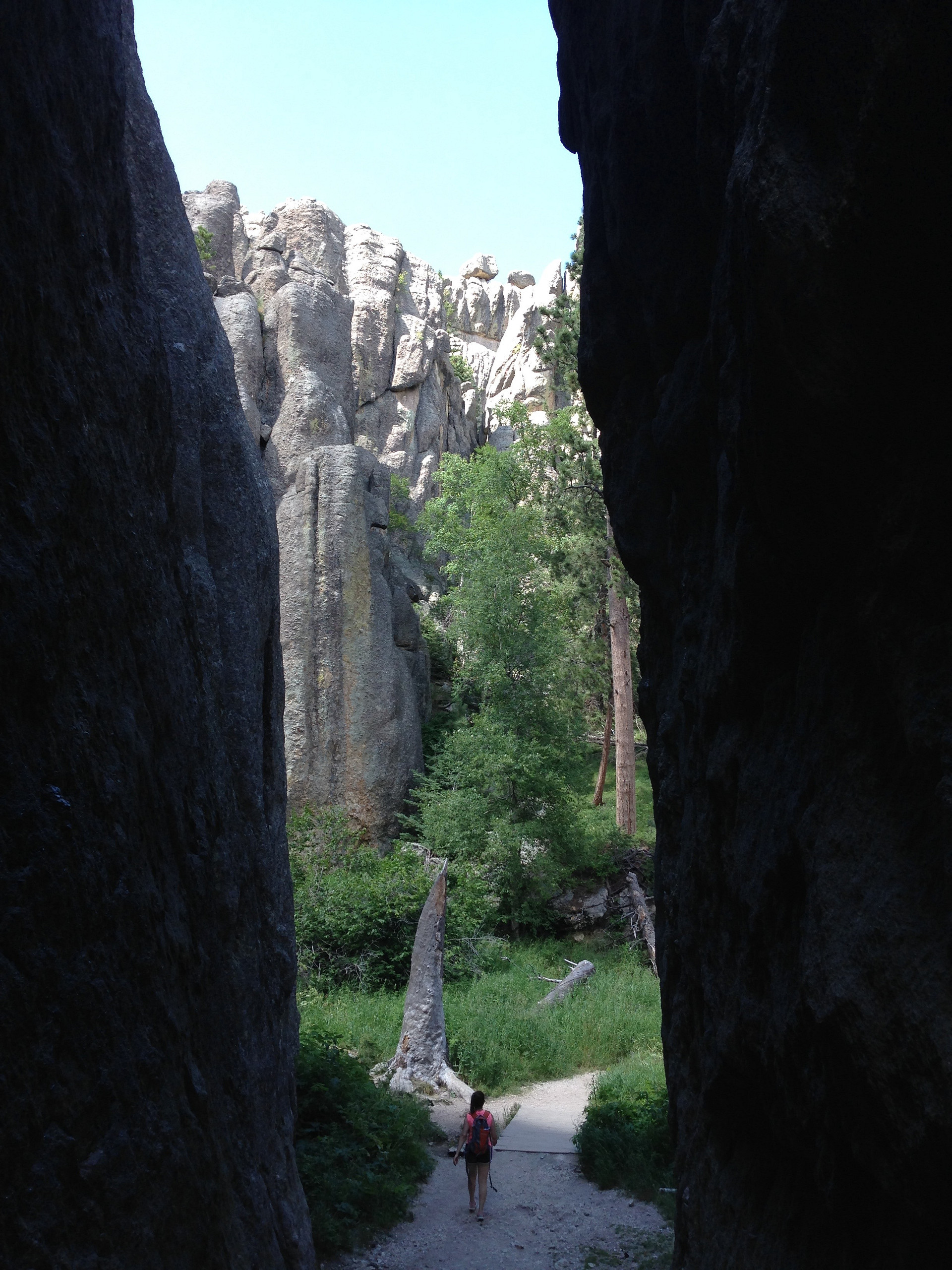 Custer State Park