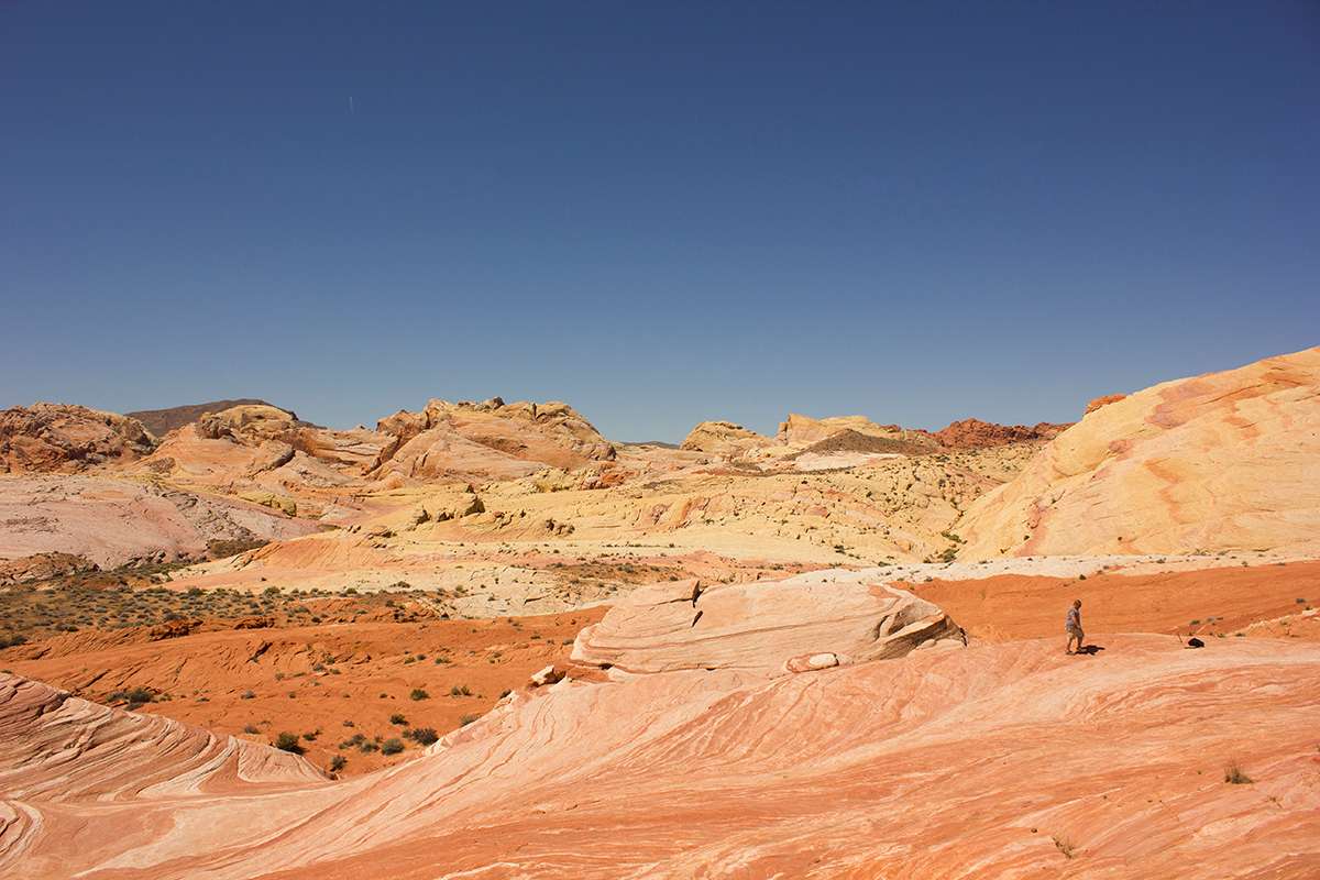 Fire wave hike - definitely worth it. This entire park is definitely a place that will make you feel very small among its vastness. 