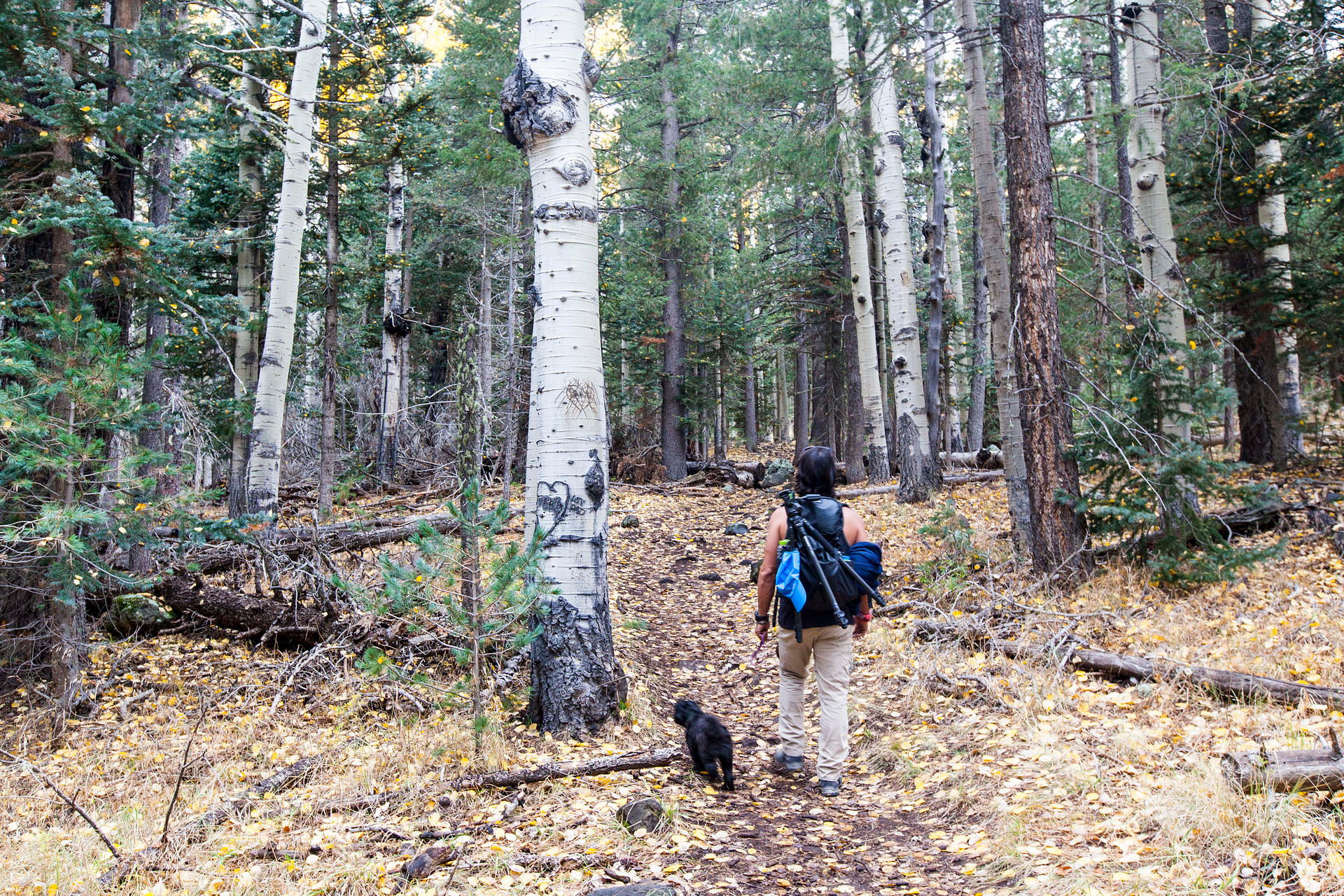 We didn't even make it it to the meadow - and didn't need to - the hike itself was beautiful enough!