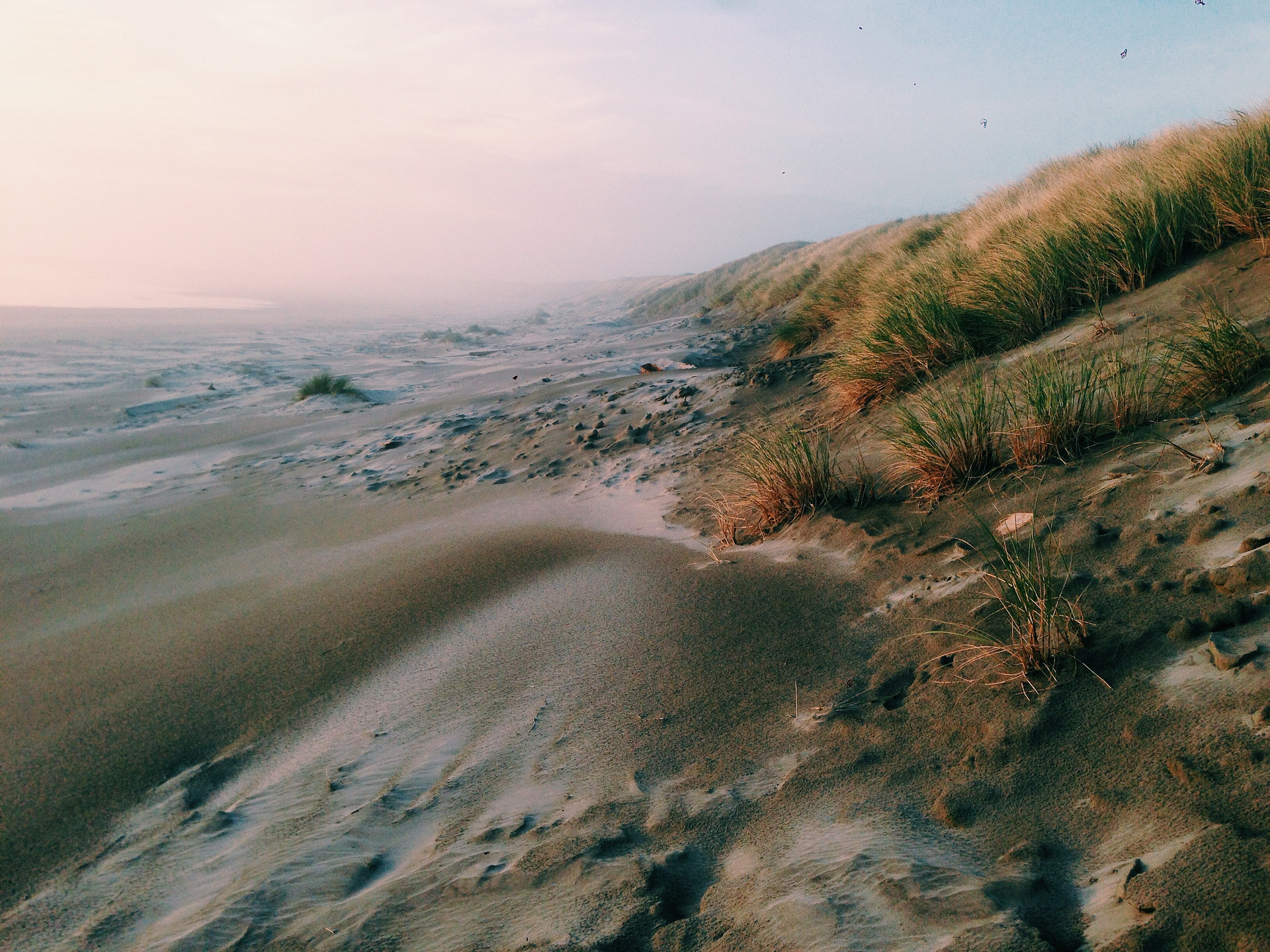 beach at sunset