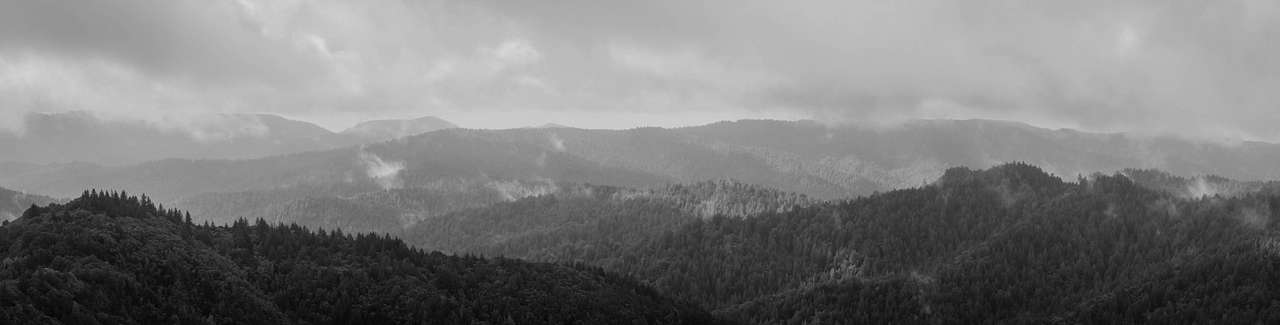 Morning after Rain