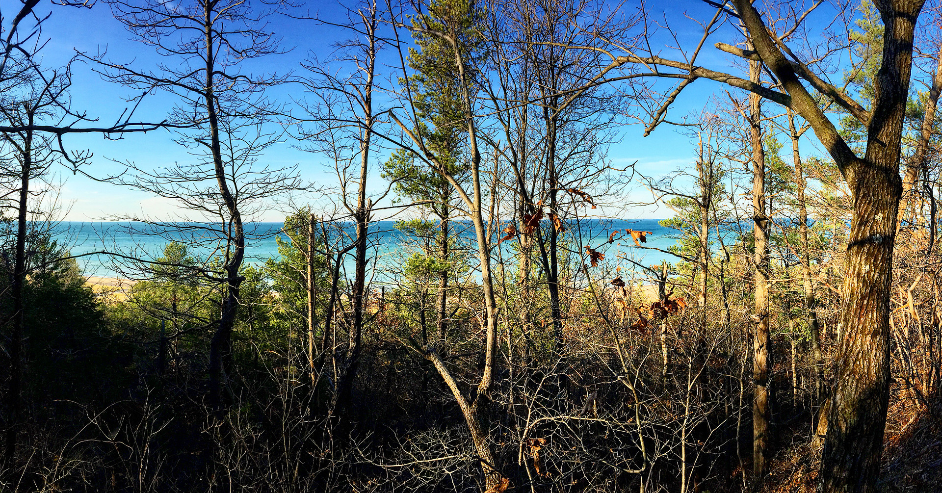 Dune top view was amazing! You could see the Chicago skyline 