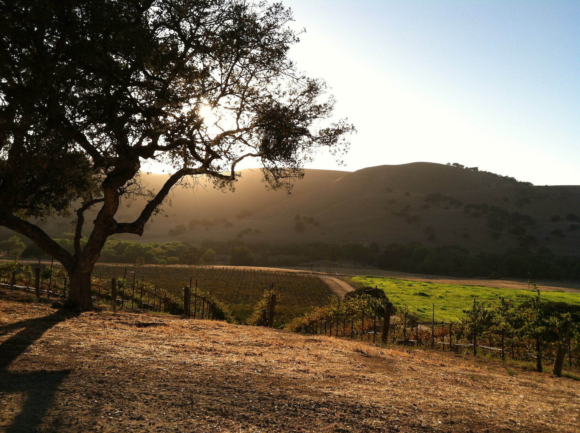 Set up camp overlooking the valley and vines!