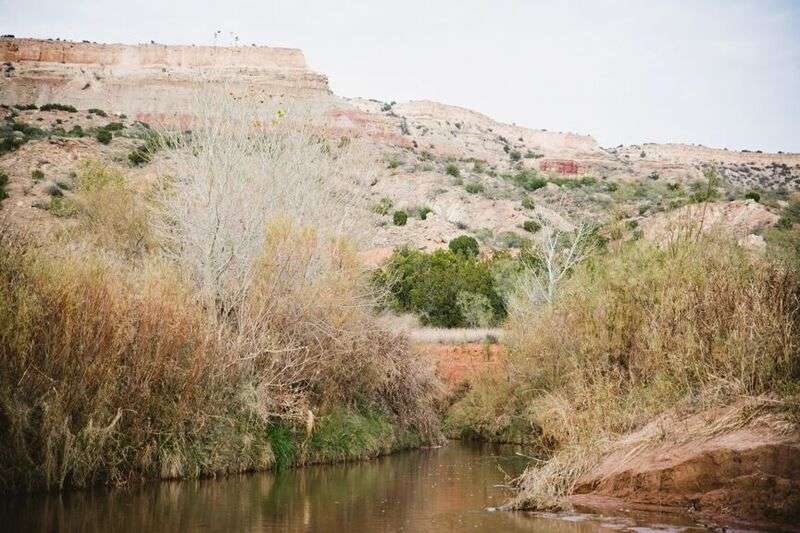 View of the canyon rim.