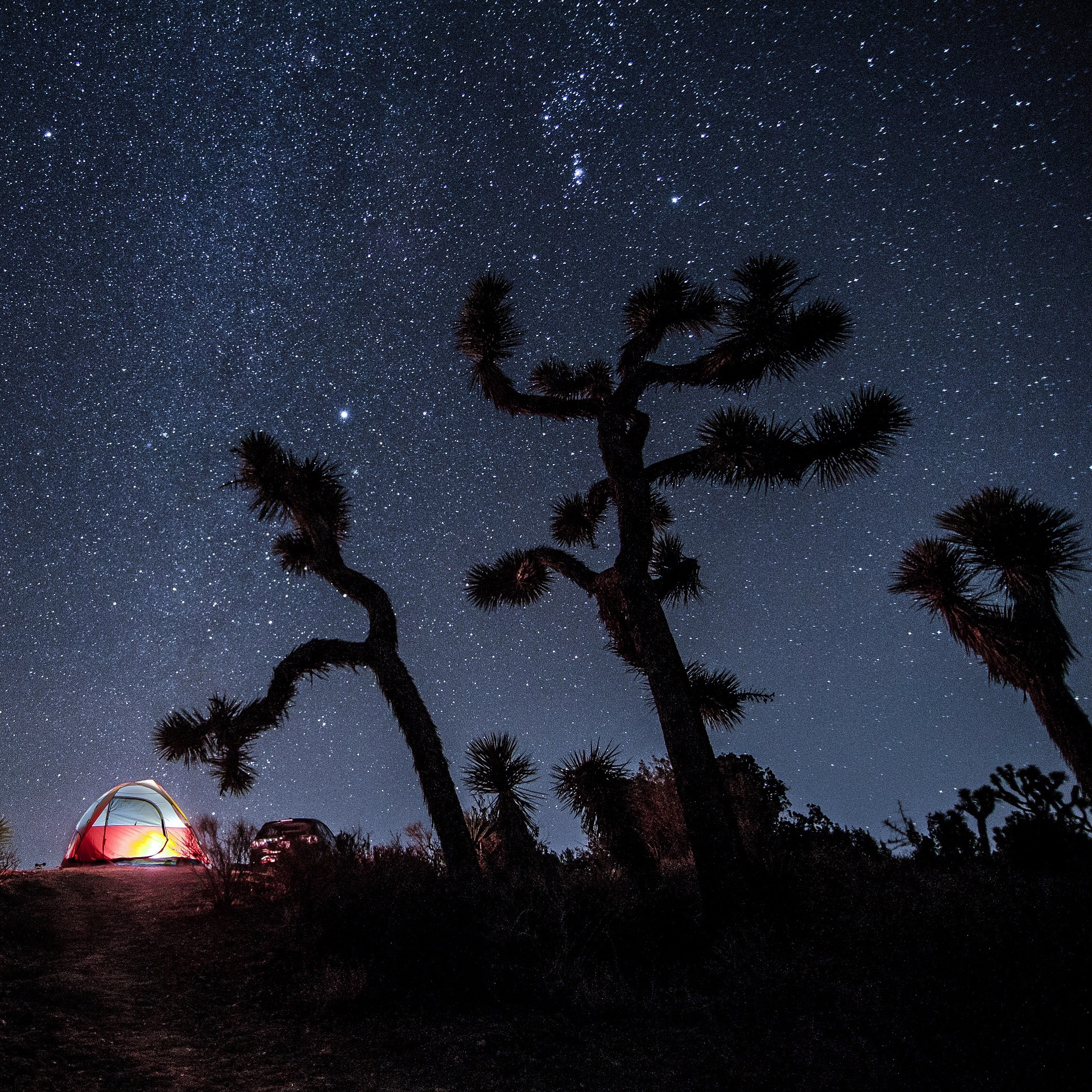 Camped at Black Rock this Winter (site #97). It was brisk and windy, yet mysteriously beautiful. 