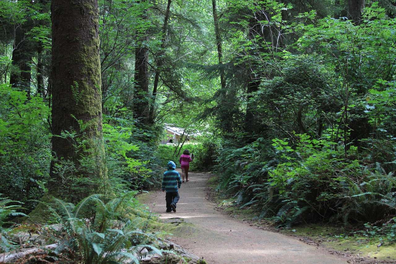 Path to Yurok Village