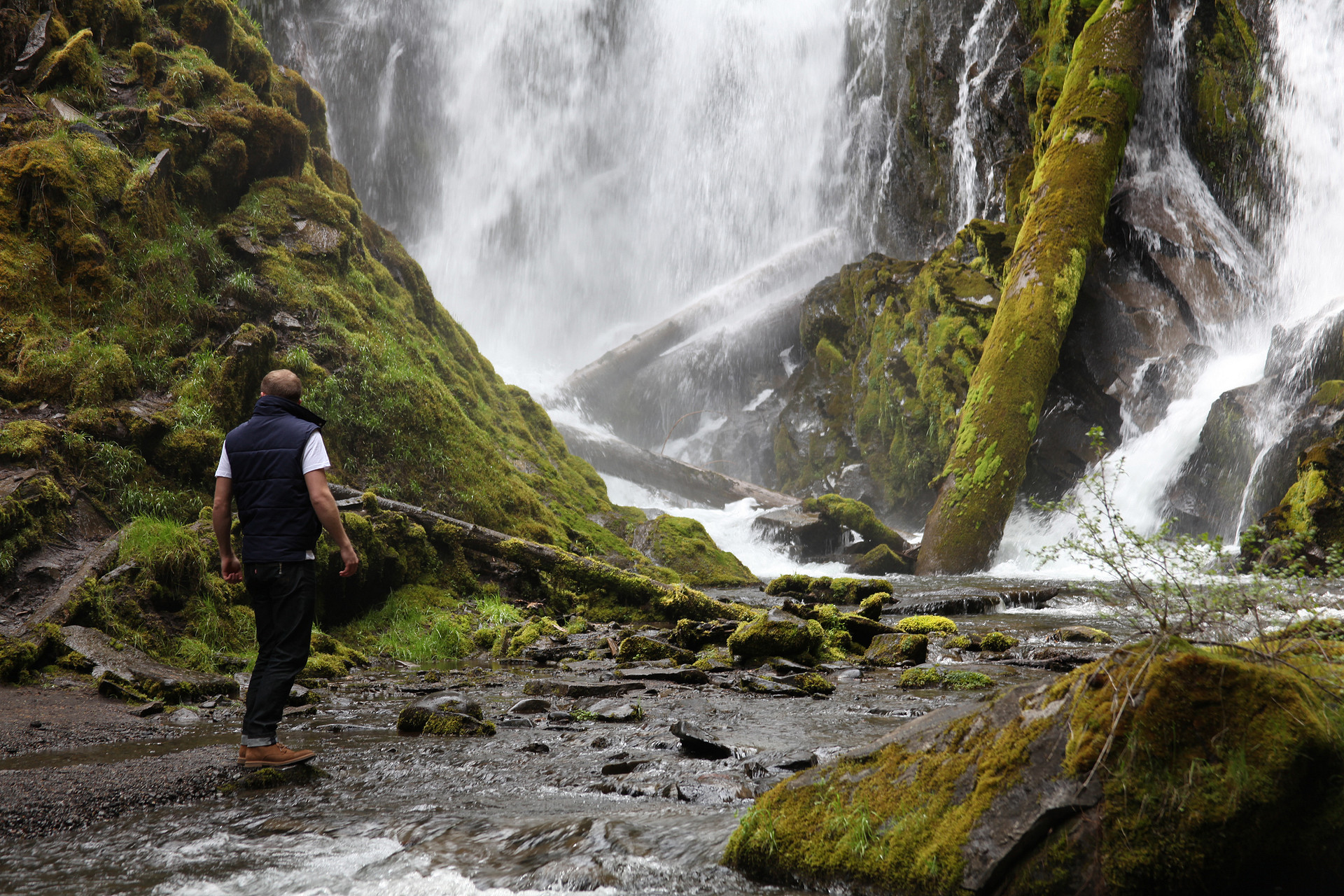 Wanderlust is satisfied when you tromps down to National Creek Falls from Hamaker Campground. Beautiful, isolated, and dreamy in the deep woods of Oregon!