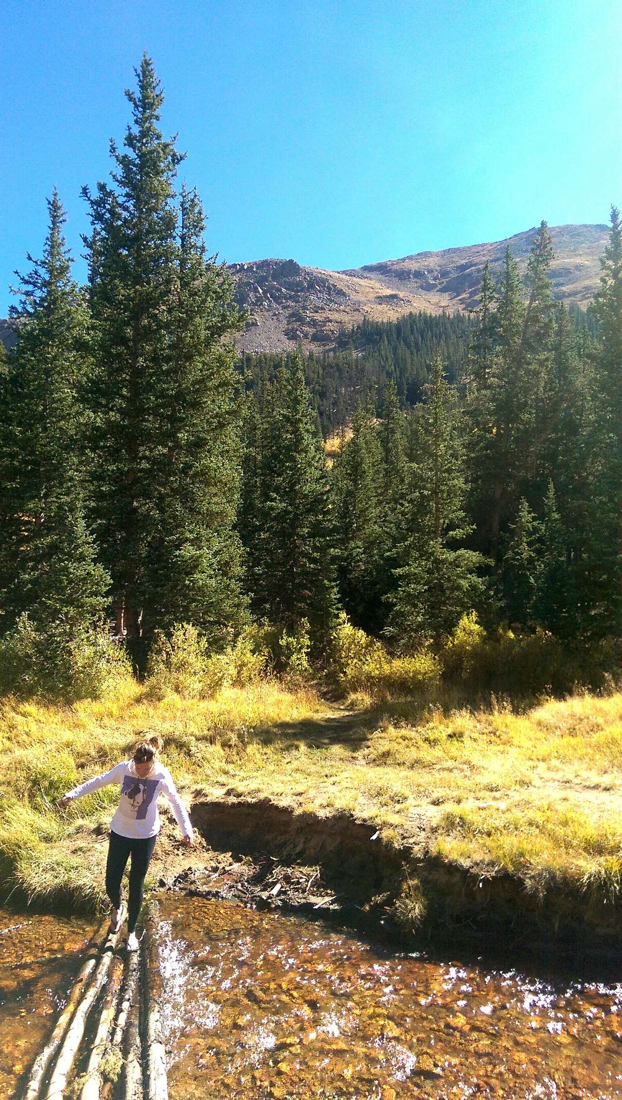 Guanella Pass Campground