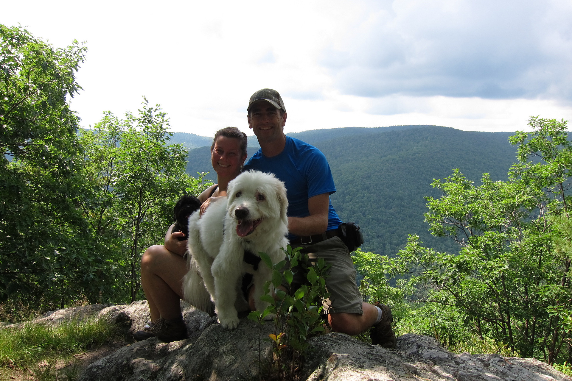 Todd  Mtn summit
