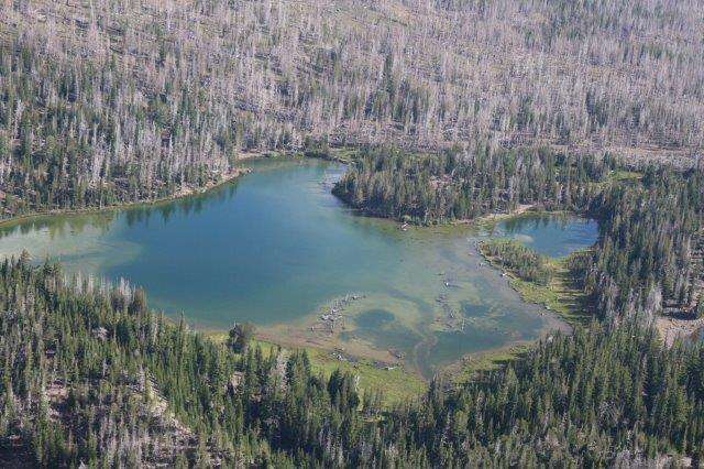 View of one of the lakes around Three Creeks Lake, burned trees from the Pole Creek Fire providing color contrast. 