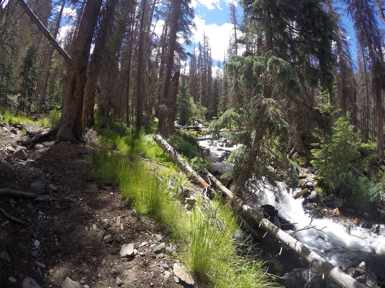 Hidden Valley Tent Campground