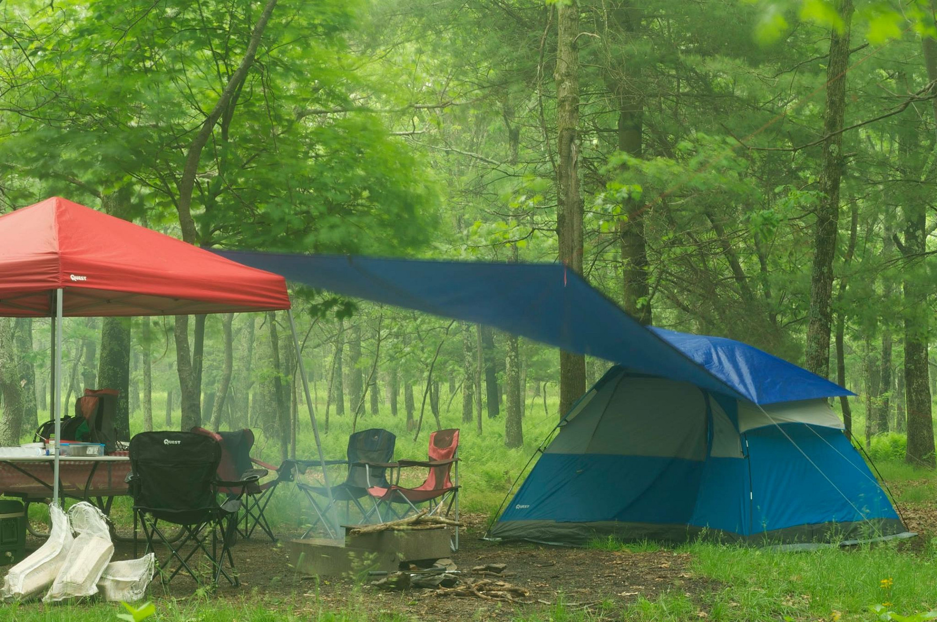 Shenandoah National Park