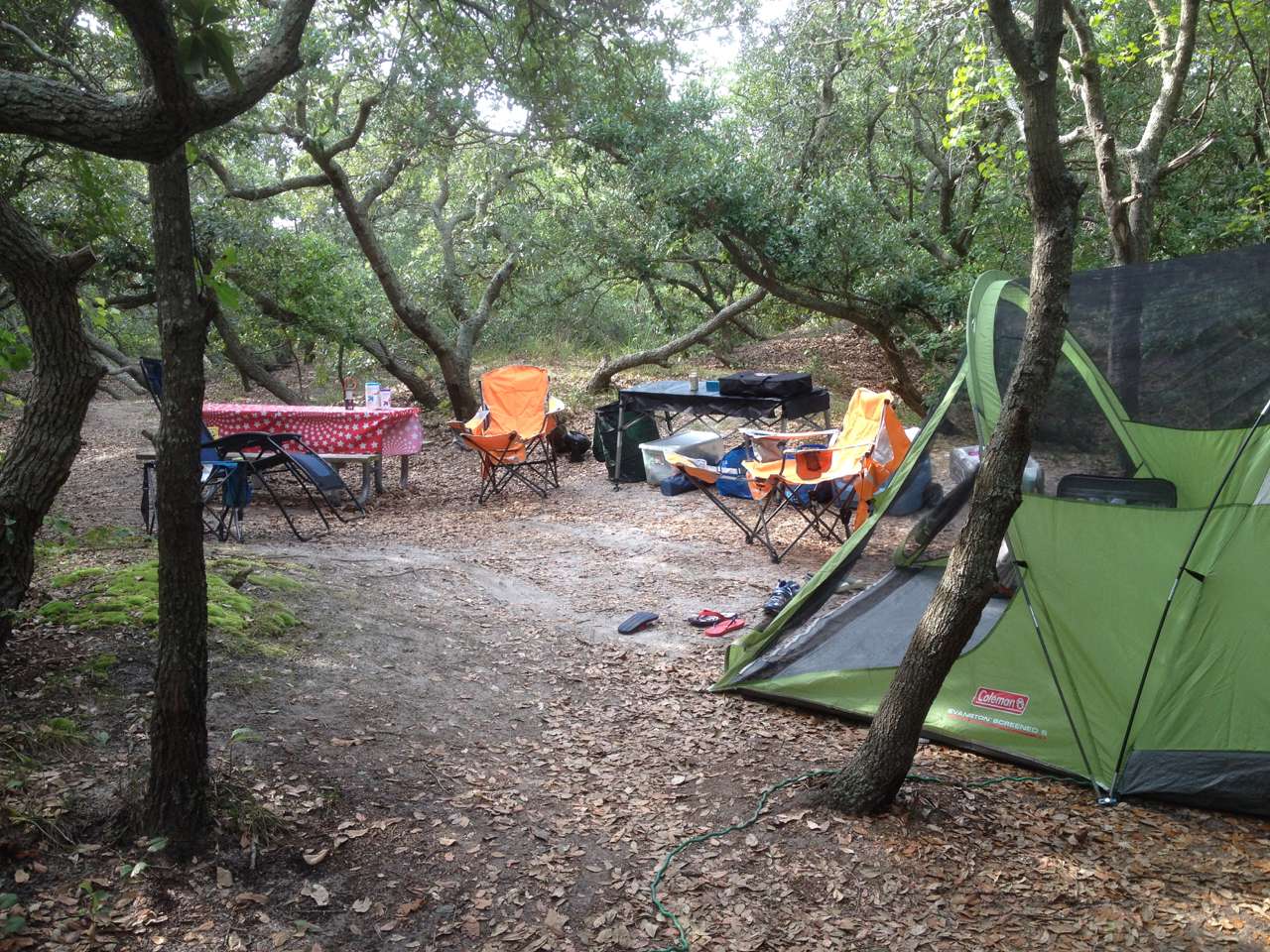 Camping under low trees.