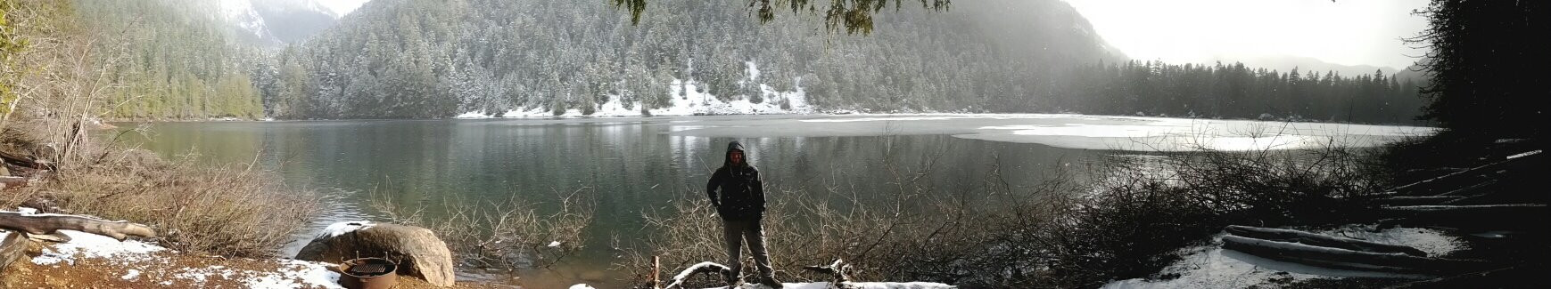 Olympic National Forest