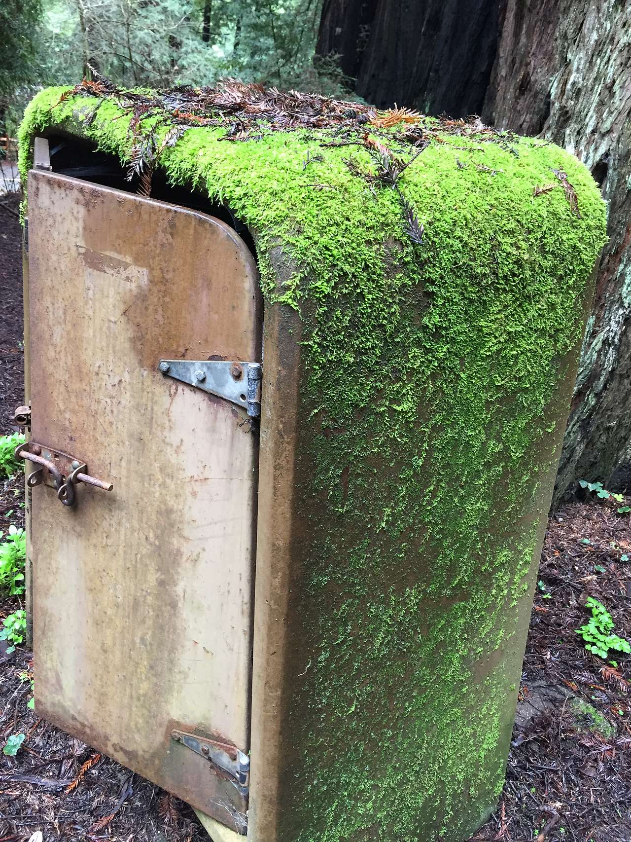 Not all food lockers are created equal...
