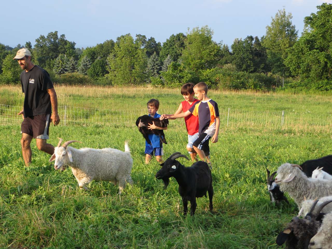 Sometimes there are goats nearby!